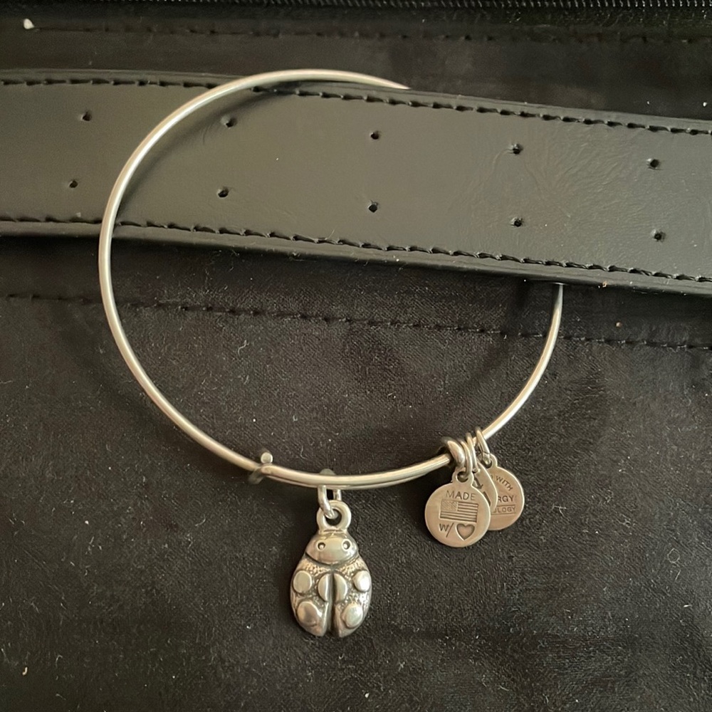 Alex and Ani Women's Lady Bug  Silver Tone Bangle Charm Bracelet One Size